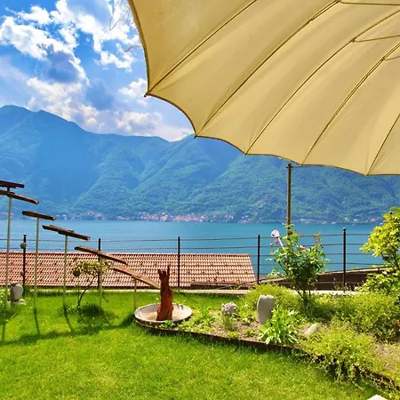 Il Punto Rosso * Nesso