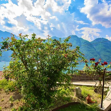 Il Punto Rosso 아파트 *